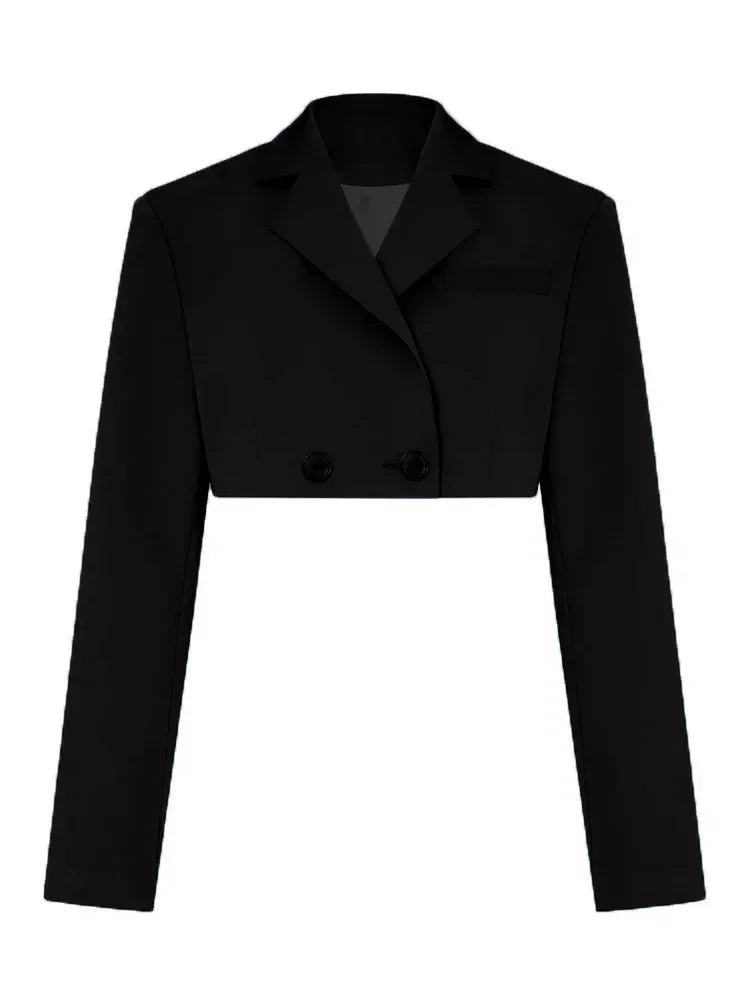 CITSLX Taruxy Casual Two Piece Sets Women's Outfits 2024 New Black Matching Sets With Skirt And Blazer Cropped Top Skirt Sets For Women